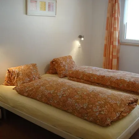 Haus Alpenstern Trift